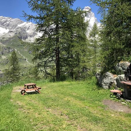 Cozy Studio Apartment Breuil-Cervinia Exteriör bild